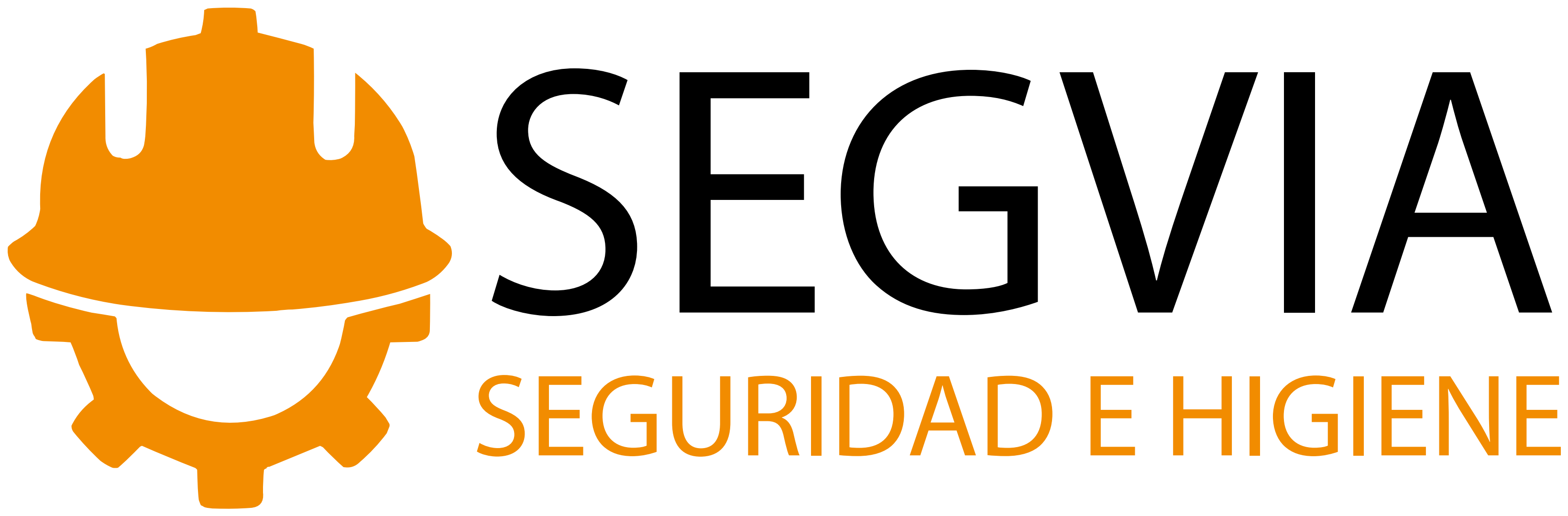 SEGVIA Seguridad e Higiene
